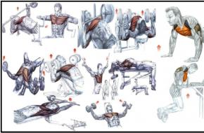 Как накачать грудные мышцы в тренажерном зале